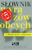Polnische buch : Słownik wy... - Lidia Drabik