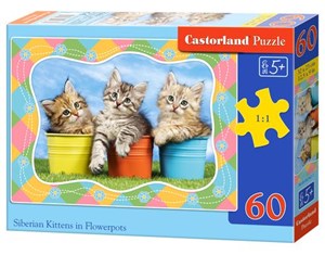 Bild von Puzzle Siberian Kittens in  Flowerpots 60