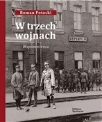 Polska książka : W trzech w... - Roman Potocki