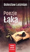 Poezje Łąk... - Bolesław Leśmian -  polnische Bücher