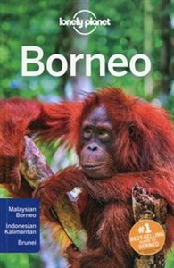 Obrazek Lonely planet Borneo