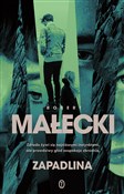 Polska książka : Zapadlina - Robert Małecki