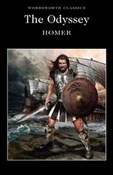 Polnische buch : The Odysse... - Homer