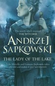 The Witche... - Andrzej Sapkowski -  polnische Bücher