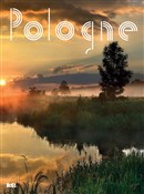 Książka : Pologne - Eustachy Rylski
