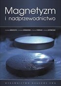 Magnetyzm ... - Andrzej Szewczyk, Andrzej Wiśniewski, Roman Puźniak, Henryk Szymczak -  fremdsprachige bücher polnisch 