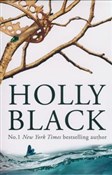 Polnische buch : The Folk o... - Holly Black