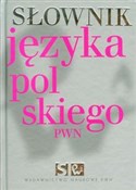 Słownik ję... - Lidia Drabik, Aleksandra Kubiak-Sokół - buch auf polnisch 