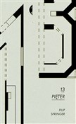 13 pięter - Filip Springer - Ksiegarnia w niemczech