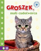Polnische buch : Groszek ma... - Marzena Kwietniewska-Talarczyk