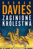 Polska książka : Zaginione ... - Norman Davies