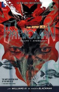 Bild von Batwoman Vol. 1