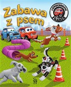 Polska książka : Samochodzi... - Karolina Górska