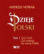 Dzieje Pol... - Andrzej Nowak - buch auf polnisch 