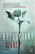 Szadź - Igor Brejdygant -  polnische Bücher