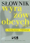 Słownik wy... - Lidia Drabik - buch auf polnisch 
