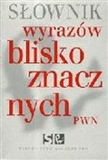 Słownik wy... - Lidia Wiśniakowska -  fremdsprachige bücher polnisch 