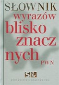 Słownik wy... - buch auf polnisch 