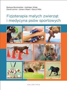 Bild von Fizjoterapia małych zwierząt i medycyna psów sportowych