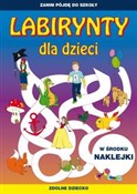 Polska książka : Labirynty ... - Tina Zakierska