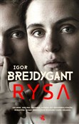 Książka : Rysa - Igor Brejdygant