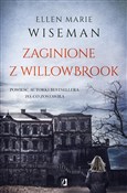 Zaginione ... - Ellen Marie Wiseman - buch auf polnisch 