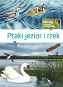 Ptaki jezi... - Michał Brodacki -  Polnische Buchandlung 